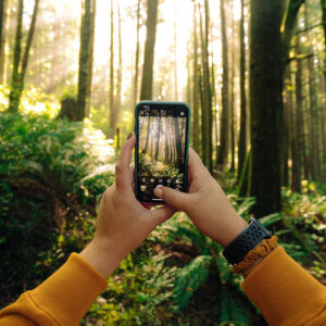 Original TikTok from @katsu33p35 with voiceover